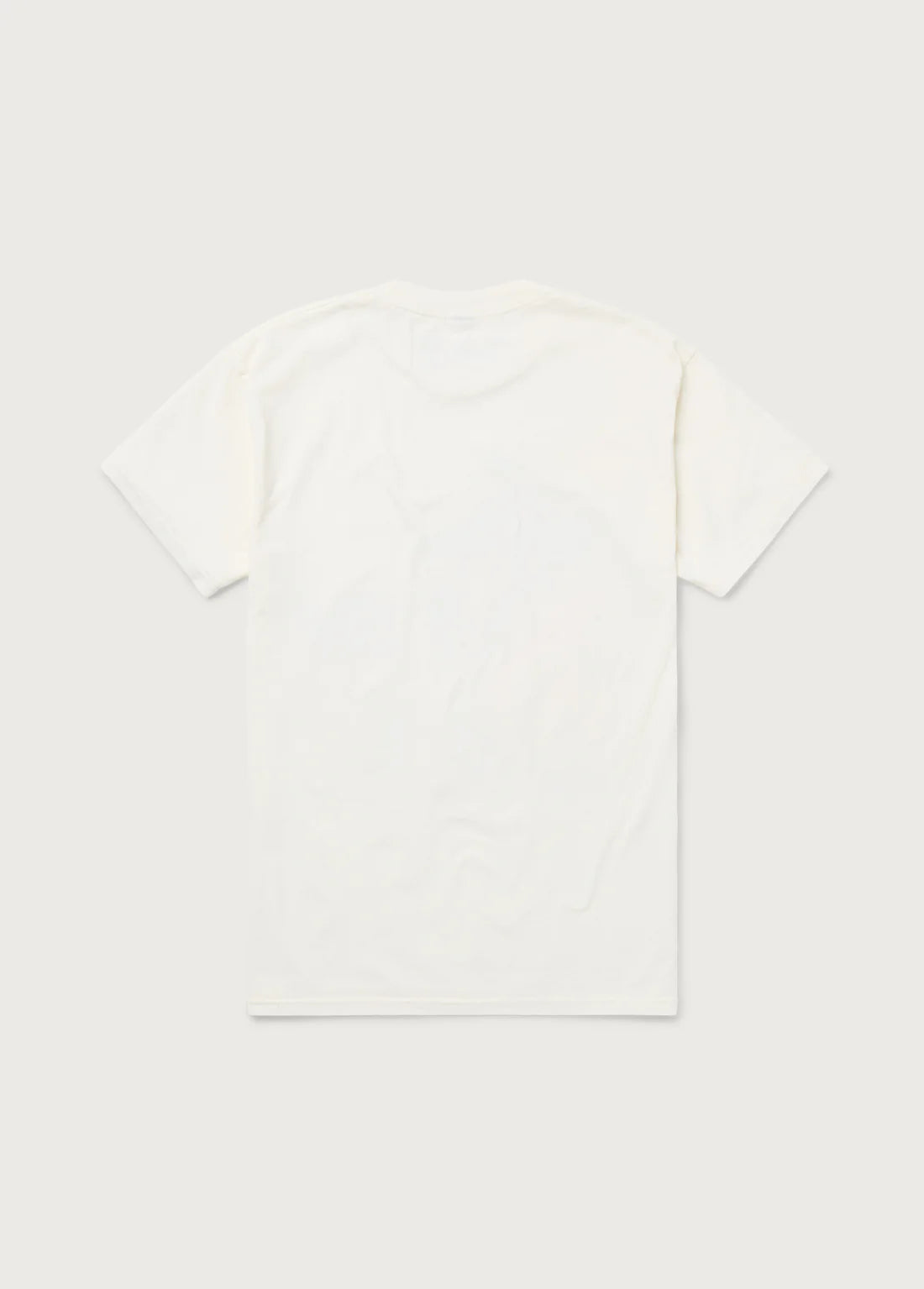 ONE OF THESE DAYS - TEE - TOMORROW NEVER KNOWS - BONE