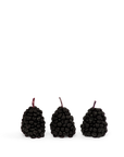 HAPPY ORGANICS - BIRTHDAY CANDLES - BLACKBERRY