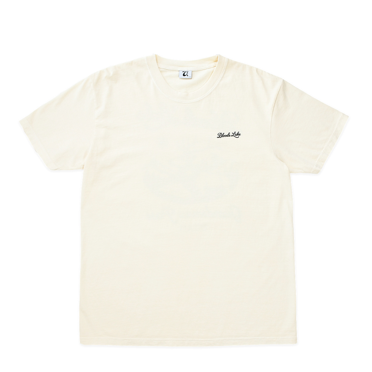 CURRICULUM - TEE - BLOODS LAKE
