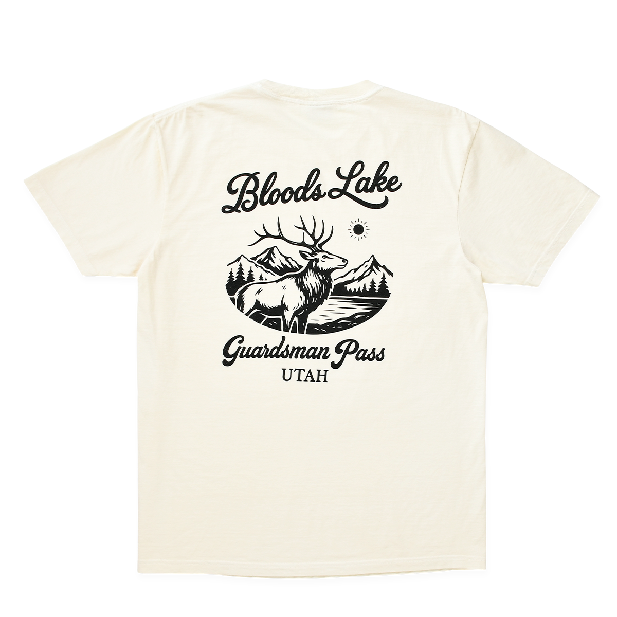CURRICULUM - TEE - BLOODS LAKE