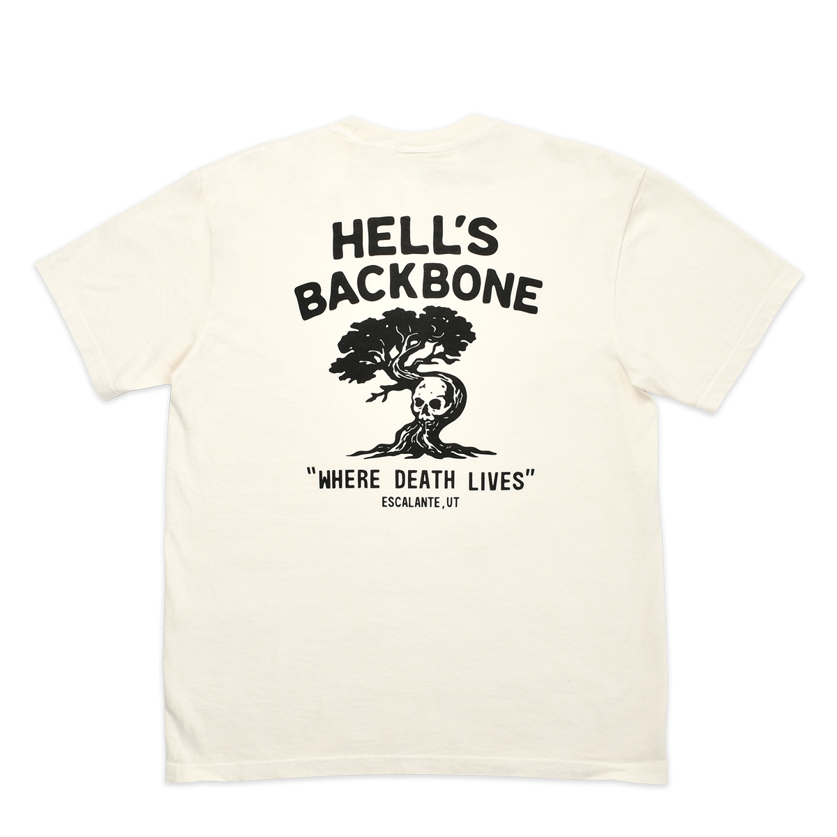 CURRICULUM - TEE - HELL'S BACKBONE