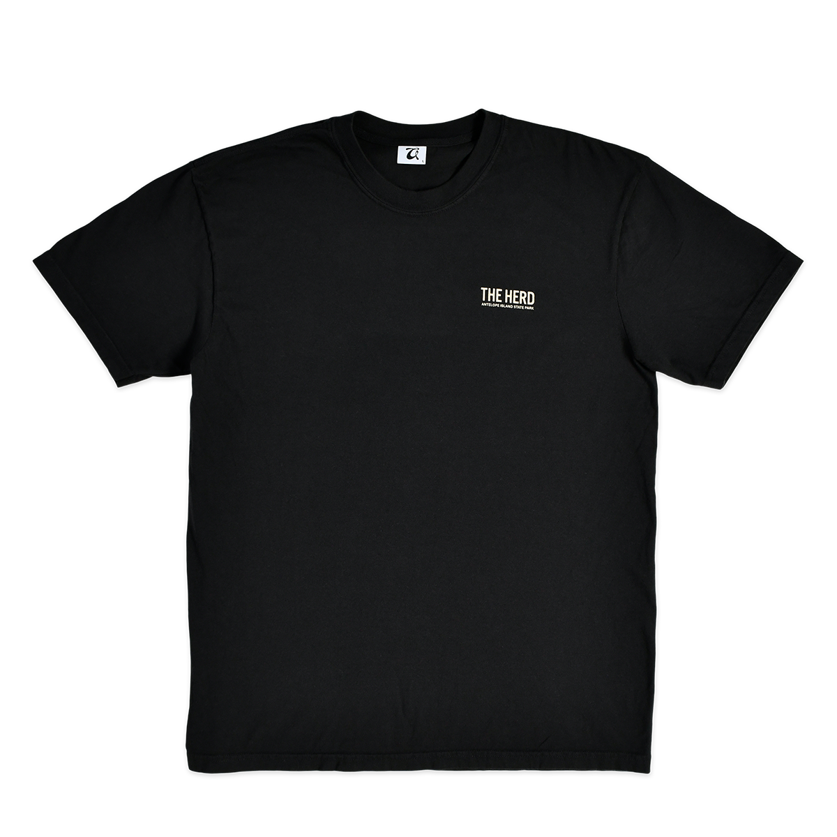 CURRICULUM - TEE - THE HERD