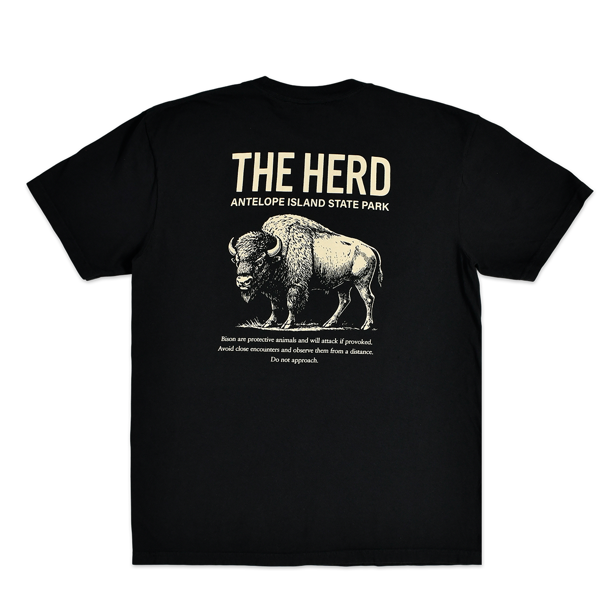 CURRICULUM - TEE - THE HERD