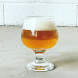BEER MAKING KIT - AMERICAN PALE