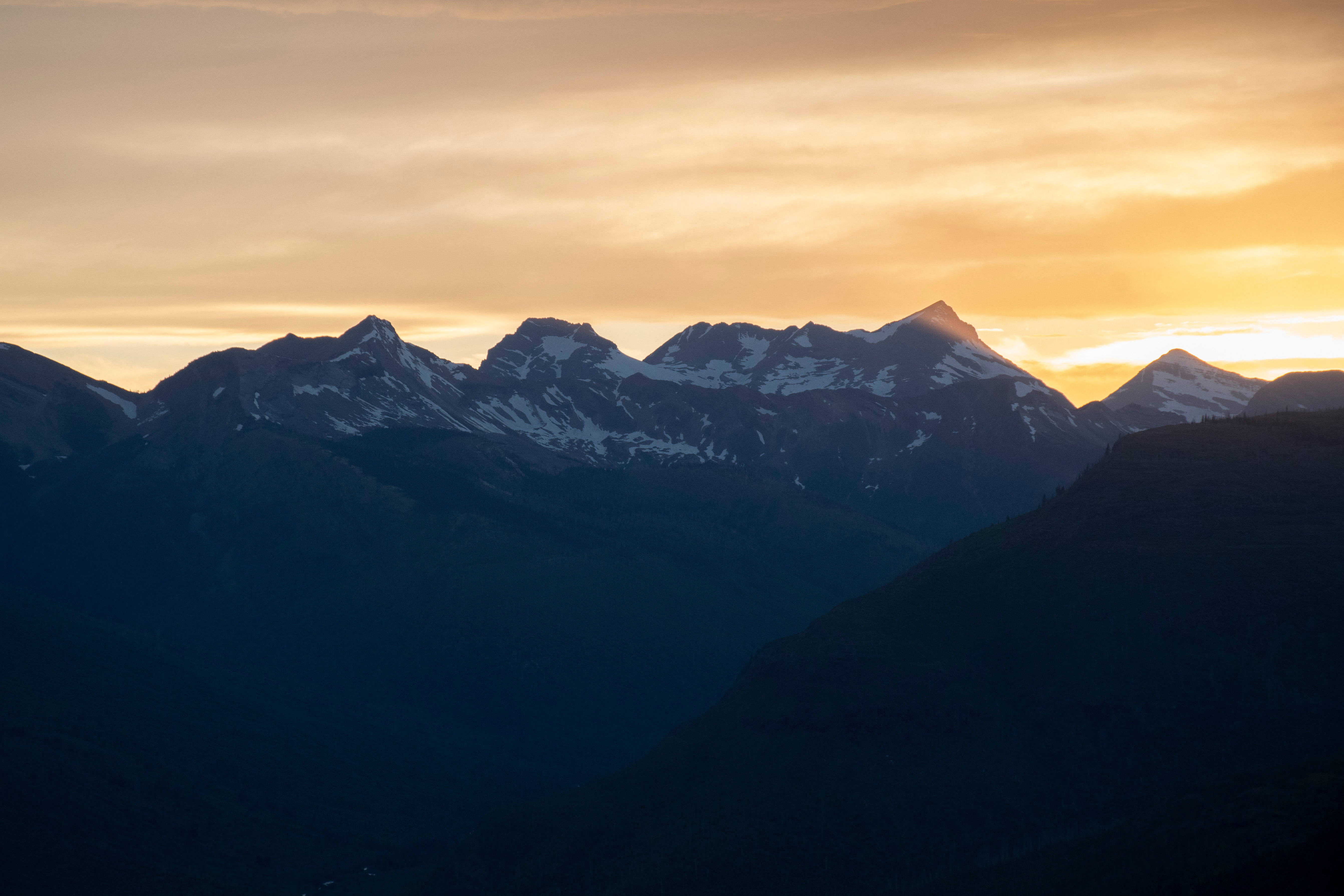 GNP-2026-3487.jpg