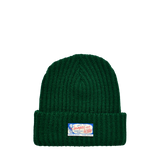 BIRD DOG BEANIE - FERN