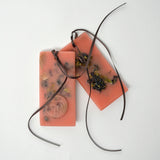 WAX TABLETS - TOBACCO TOSCANO