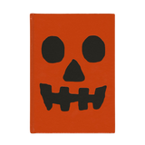 JACOB HAUPT:  DID I SCARE YOU? BOOK