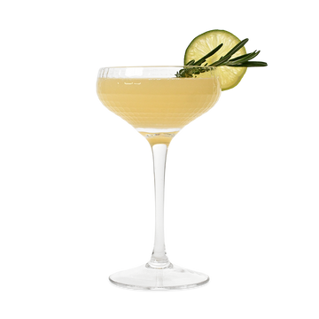 COCKTAIL KINGDOM - BEATRICE COUPE GLASS