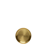 BRASS PLATE - XX SMALL
