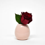BUD VASE - PINK
