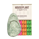ASH & SCENT SET - 64 PACK