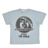 STEPPENWOLF - CLOUD BLUE