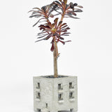 PLANTER - MANSION - NATURAL