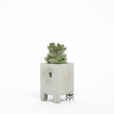 PLANTER - TRUSS - NATURAL CLEAR WINDOW