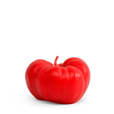 CANDLE - HEIRLOOM TOMATO