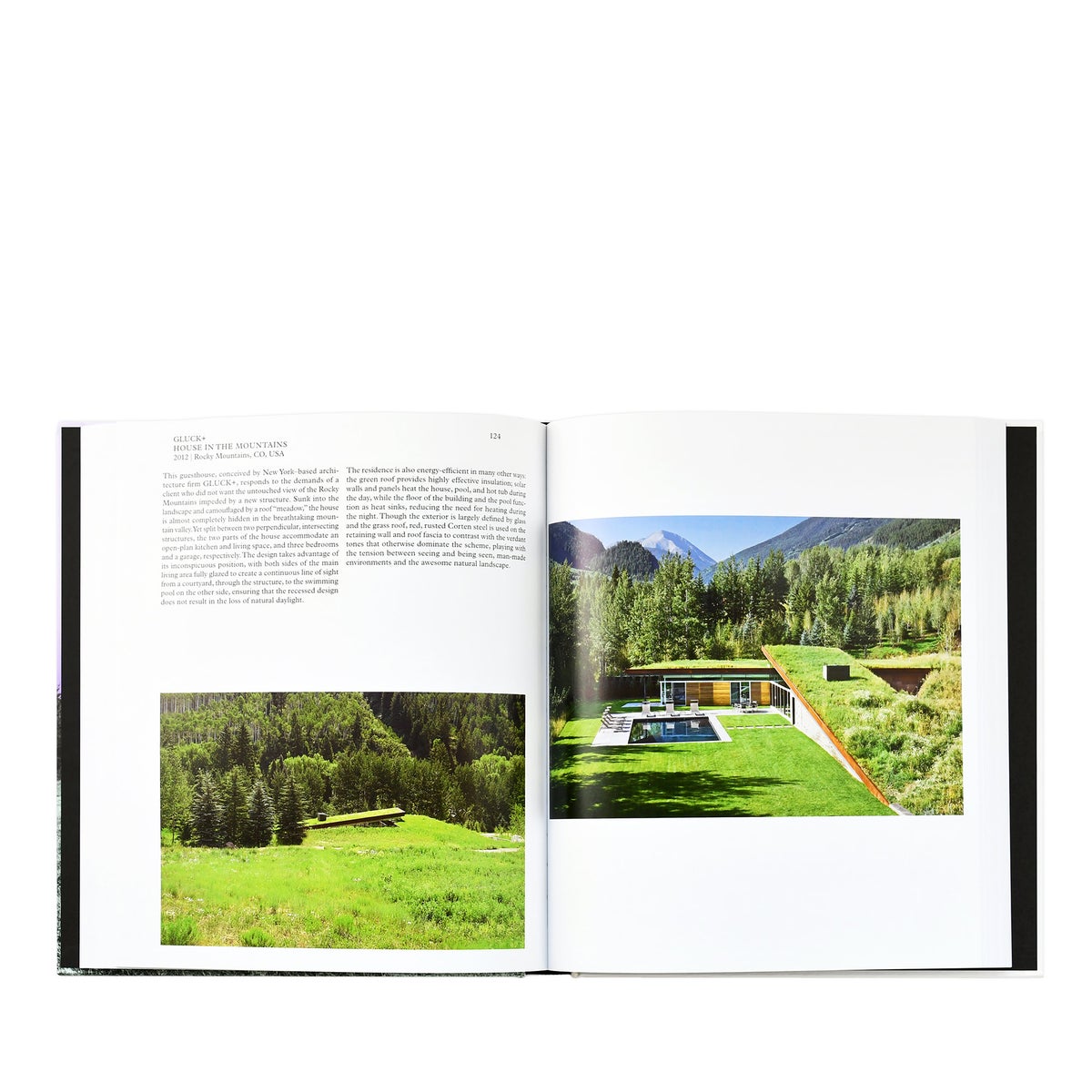 PHAIDON - LIVING IN THE MOUNTAINS