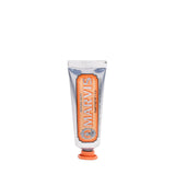 GINGER MINT TOOTHPASTE - TRAVEL SIZE